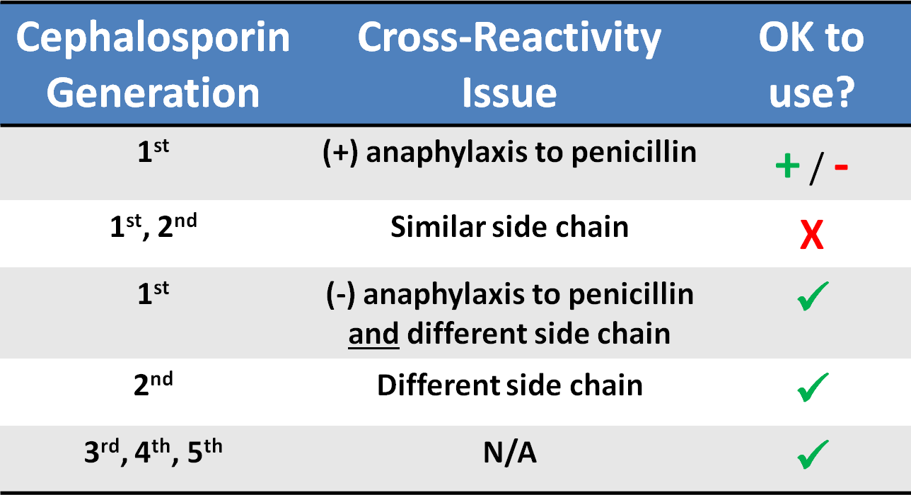 Antibiotic Allergy Cross Sensitivity Chart